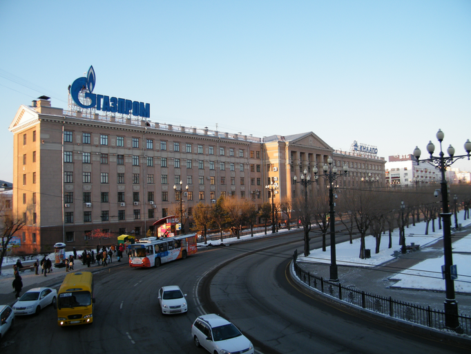 Дальневосточный государственный медицинский университет)